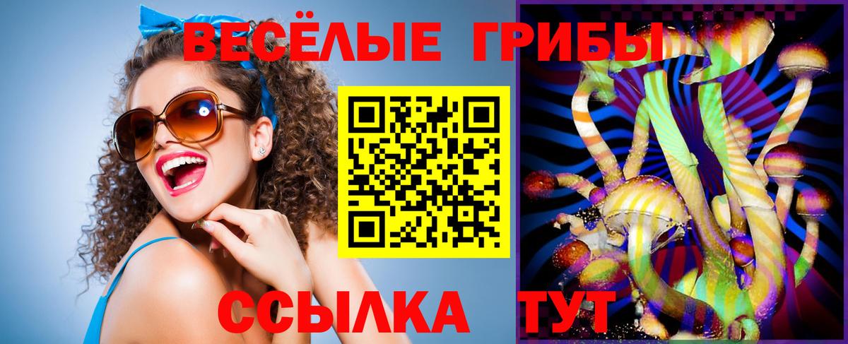 Галлюциногенные грибы Magic Shrooms  хочу   Щёлково  Вход с VPN 